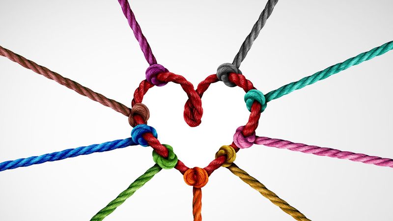 Medium 1678c5bc aa0c 44e6 8ade b2dad8f0bf4a