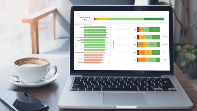 Team roles report